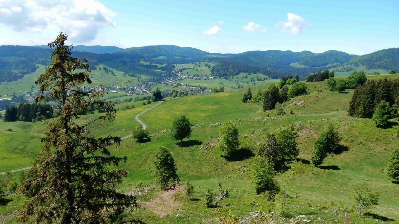 WEITBLICK entspannen - wohlfühlen - aktiv erholen Elzach Exterior foto