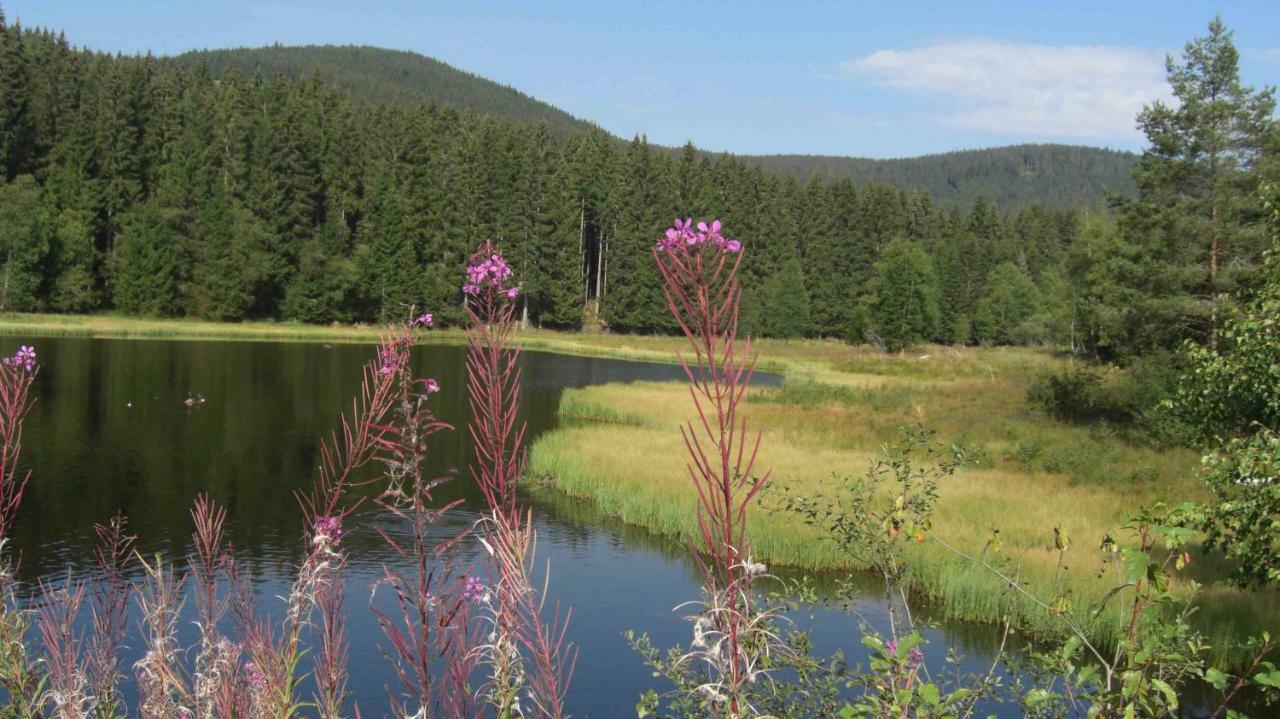 WEITBLICK entspannen - wohlfühlen - aktiv erholen Elzach Exterior foto